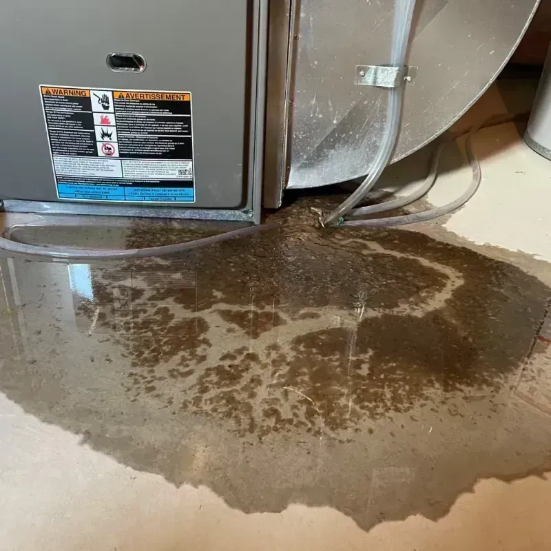 Appliance Leak Cleanup in Fort Collins, CO